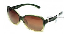 FL949_P2X