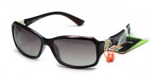 FL950_P2X